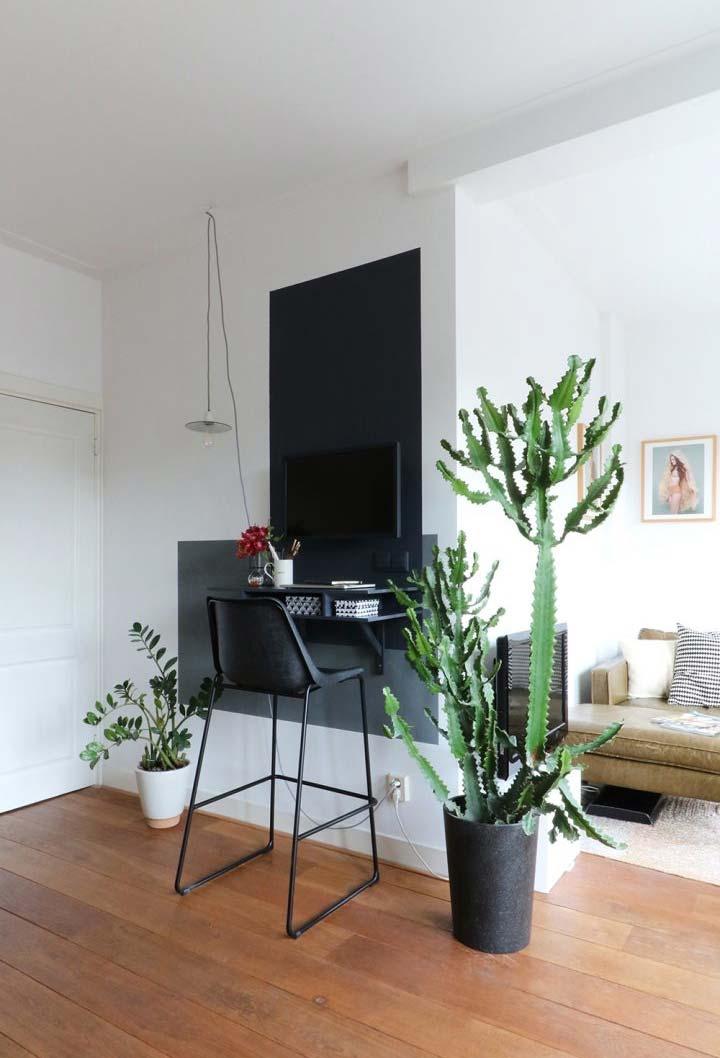 Decoração Cacto