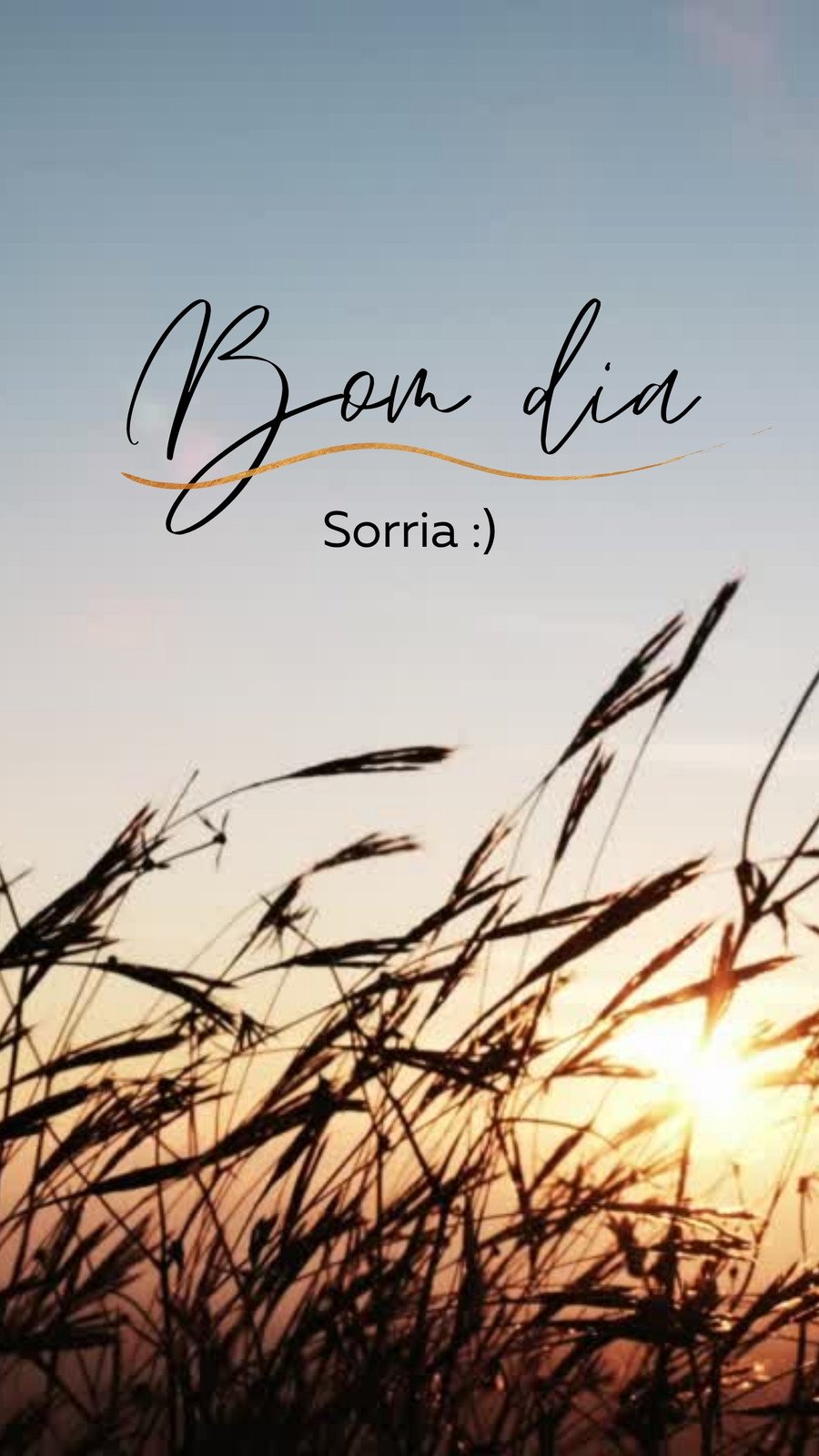Bom dia Sorria Bom dia Sorria