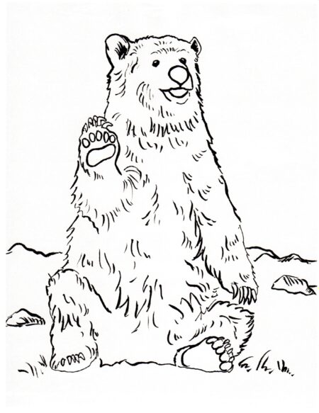 desenho-para-colorir-urso