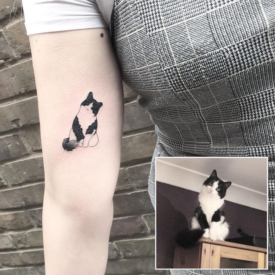 cat tattoo