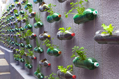 Jardim Vertical Com Garrafa Pet