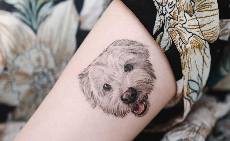 Tatuagem De Cachorro