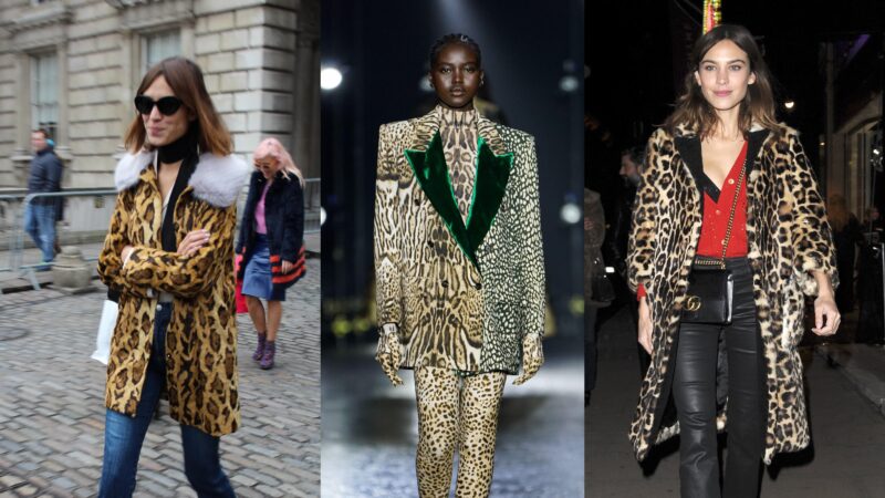 look-animal-print-feminino