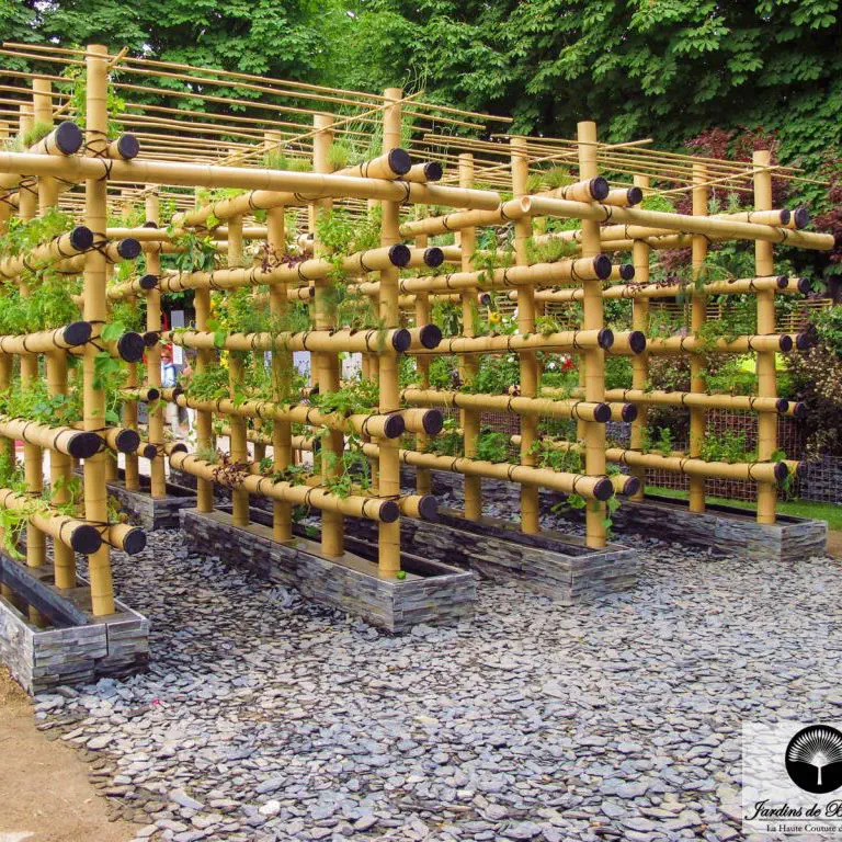 Tutor para plantas em bambu - URBAN ...