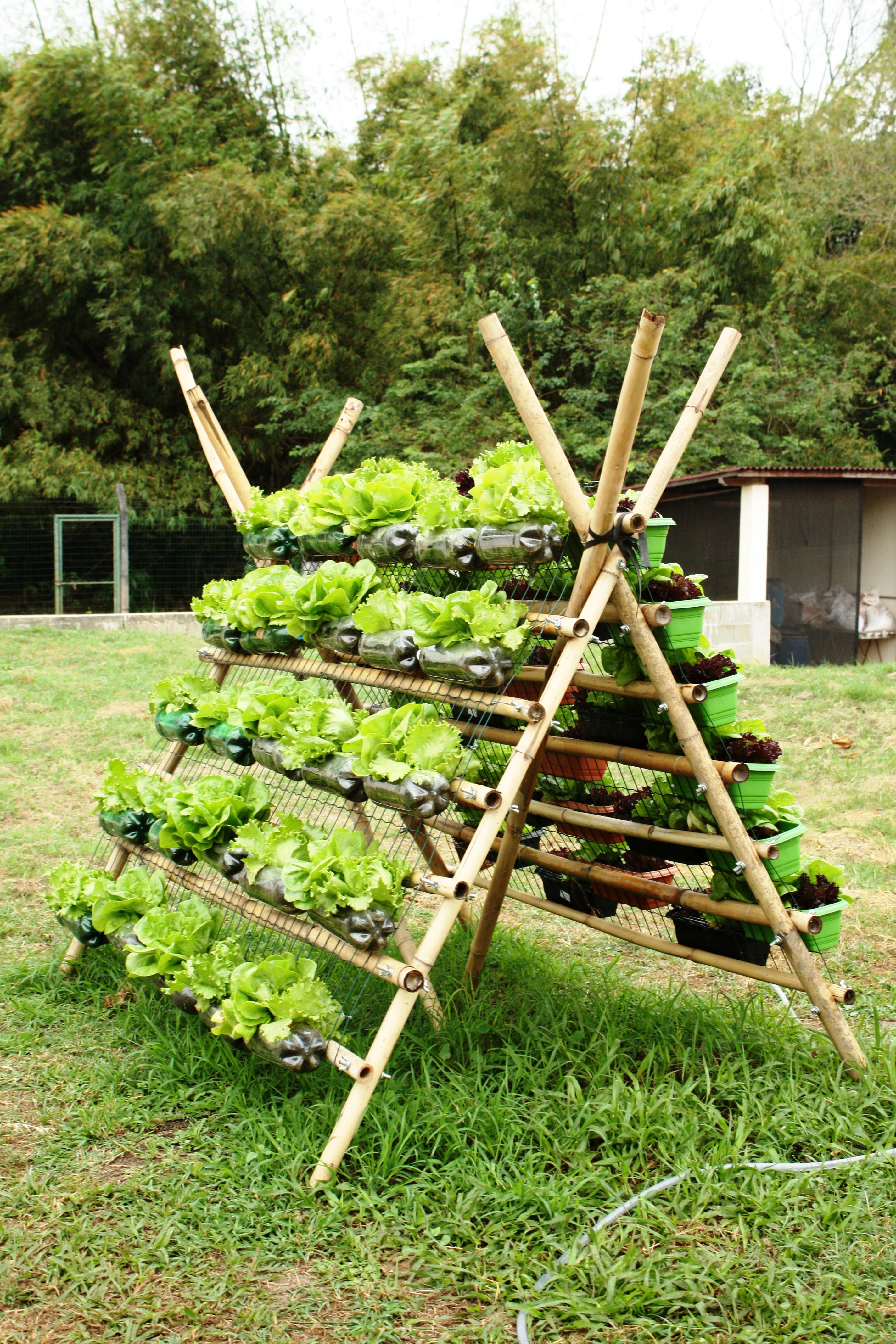 Horta vertical - Portal Embrapa