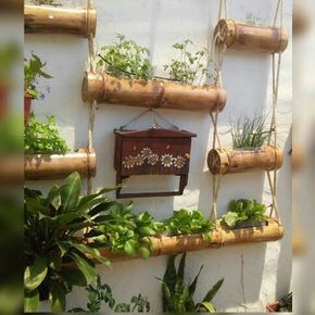 Como fazer jardim vertical usando bambú