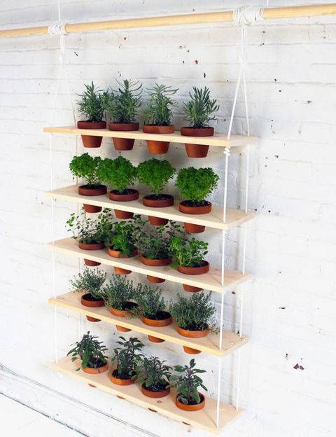 Horta Vertical: 63 Inspirações e Dicas ...