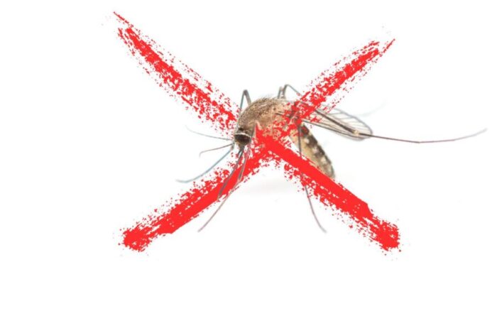 A lâmpada mística que bane o mosquito da dengue da sua casa