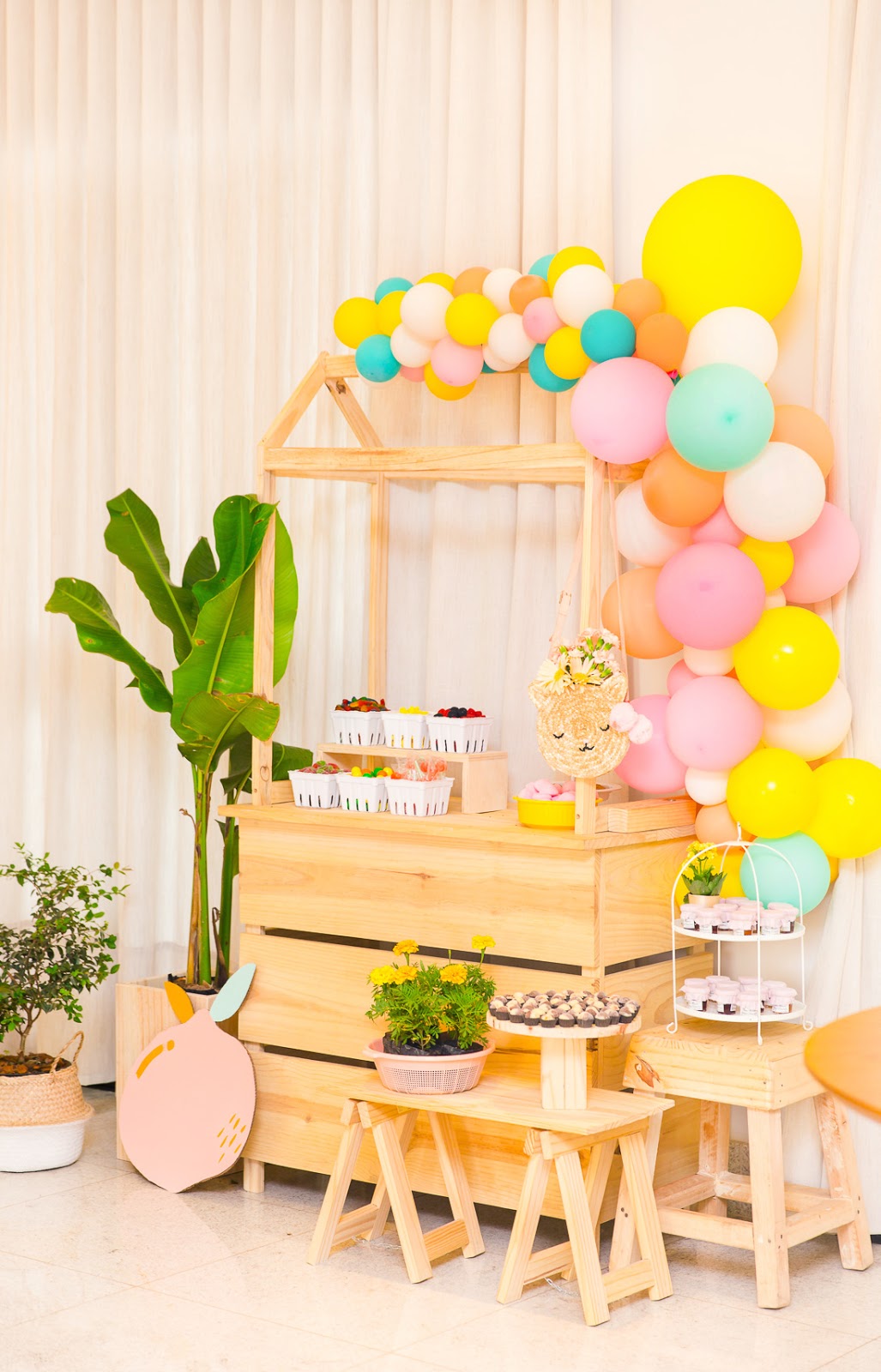 FESTA BOTANICA: CLARA FAZ 3 — BLOG DO MATH