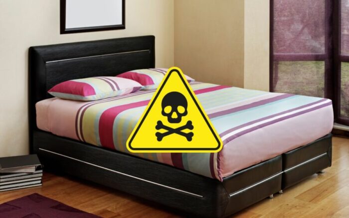 Sua cama esconde um segredo perigoso, segundo a ciência