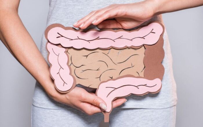 Viralizou! Semente promete fazer um ducha no seu intestino; veja