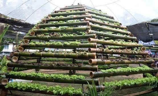 Horta em estrutura de bambú