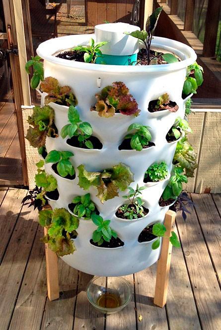 Horta Vertical ...