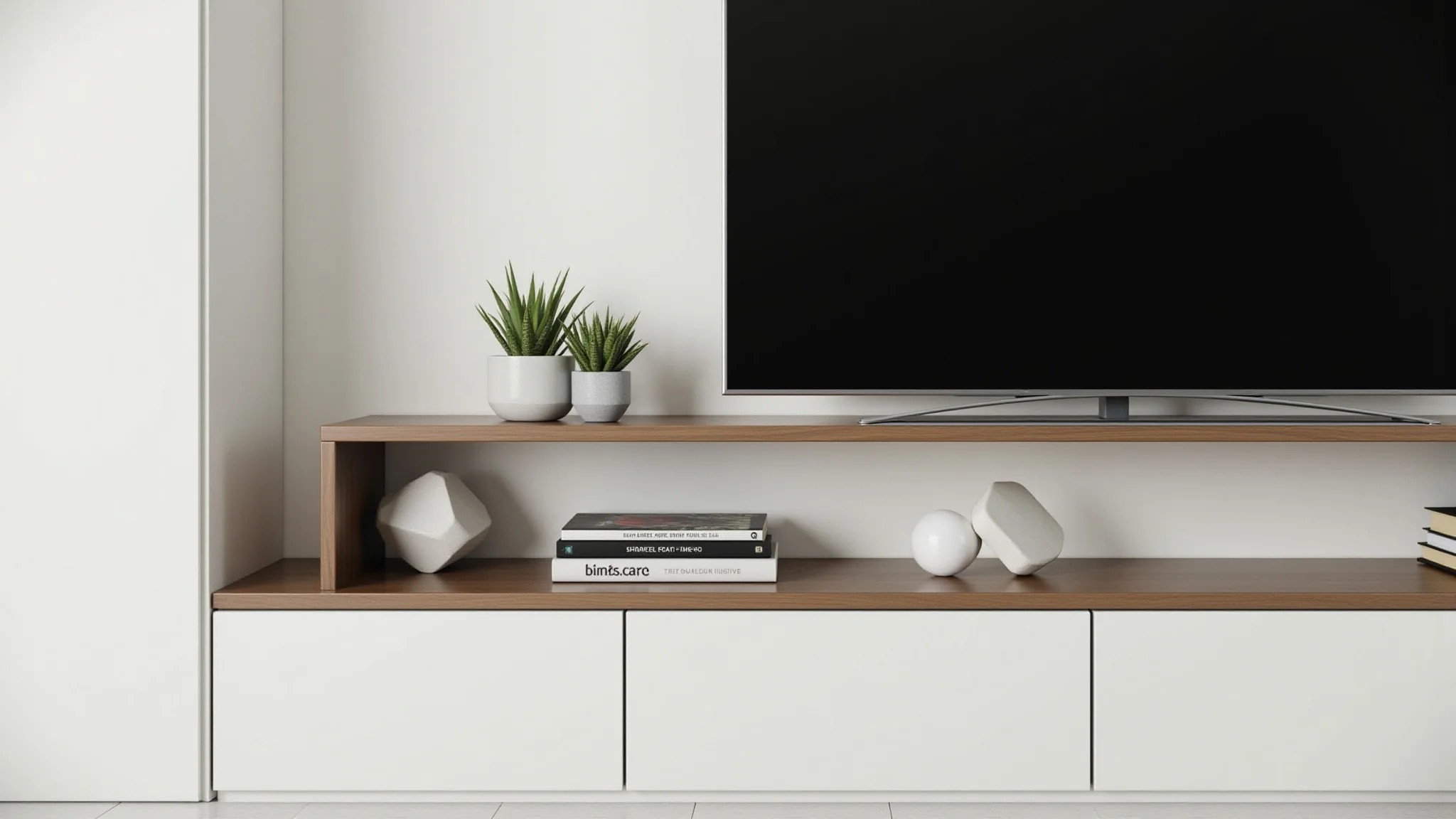 Detalhe de rack de TV moderno com decoração minimalista, livros e suculenta.