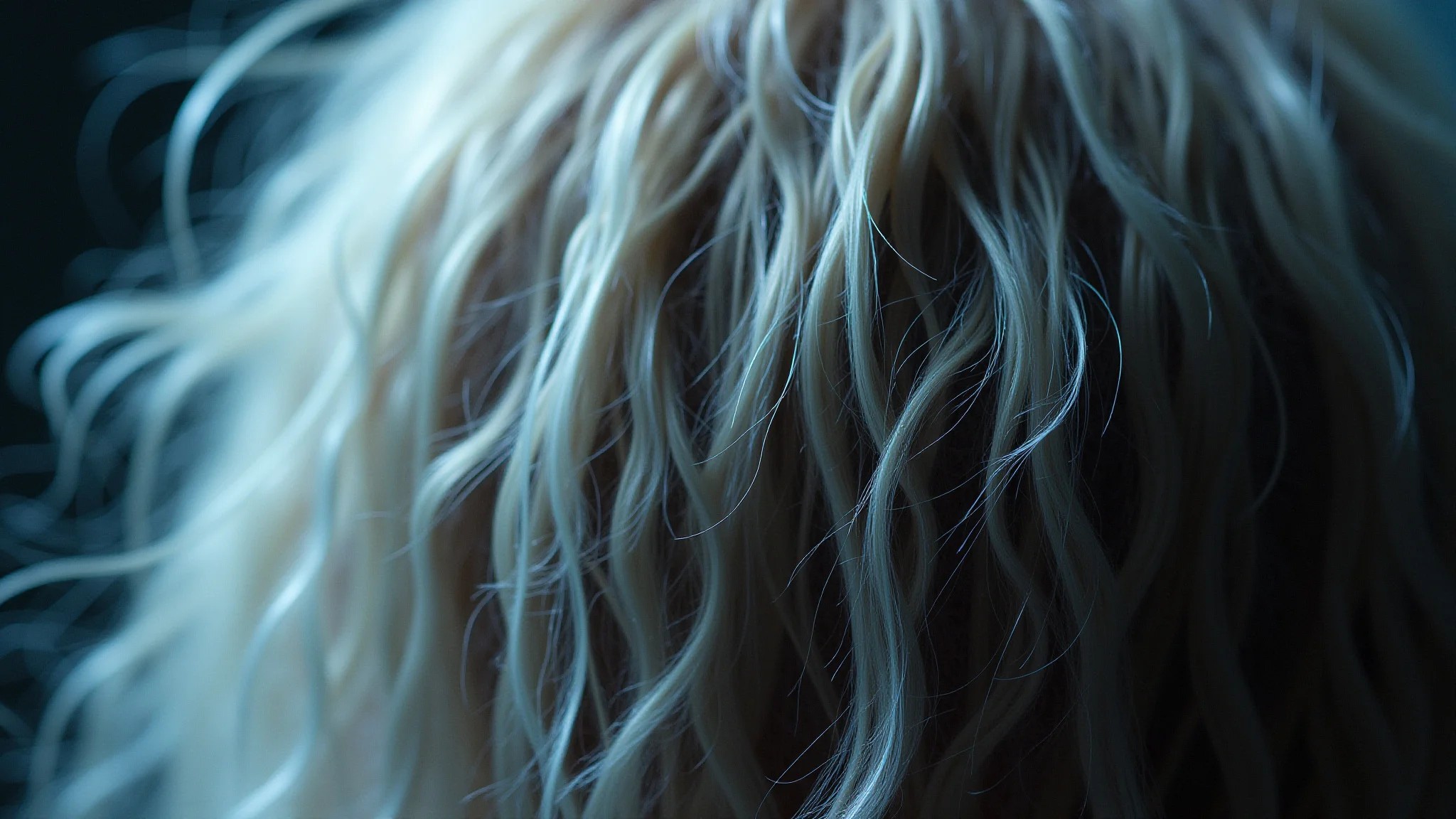Cabelo danificado e quebradiço após descoloração global, pontas duplas visíveis.