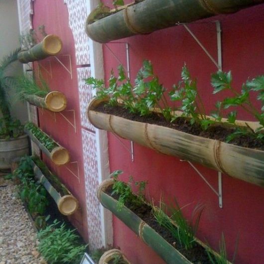 Horta vertical: saiba tudo para montar ...