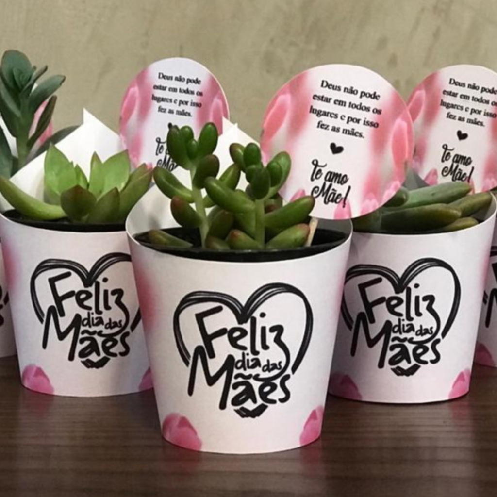Suculentas Personalizadas | Eternizare