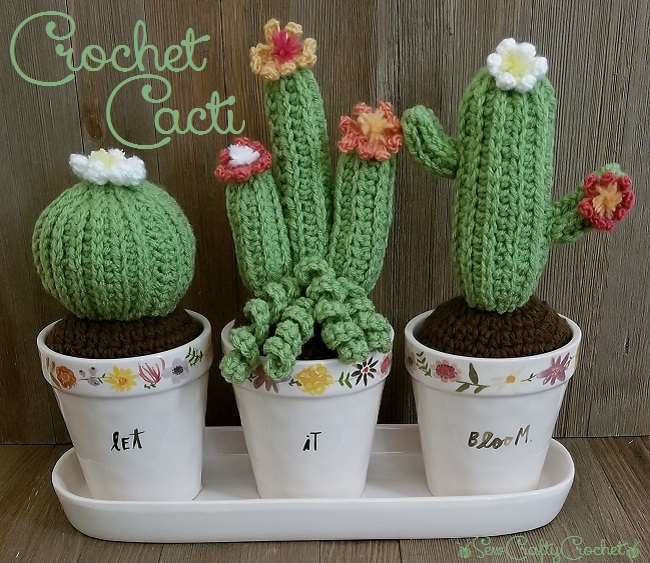 Crochet Flowering Cactus - Sew Crafty ...