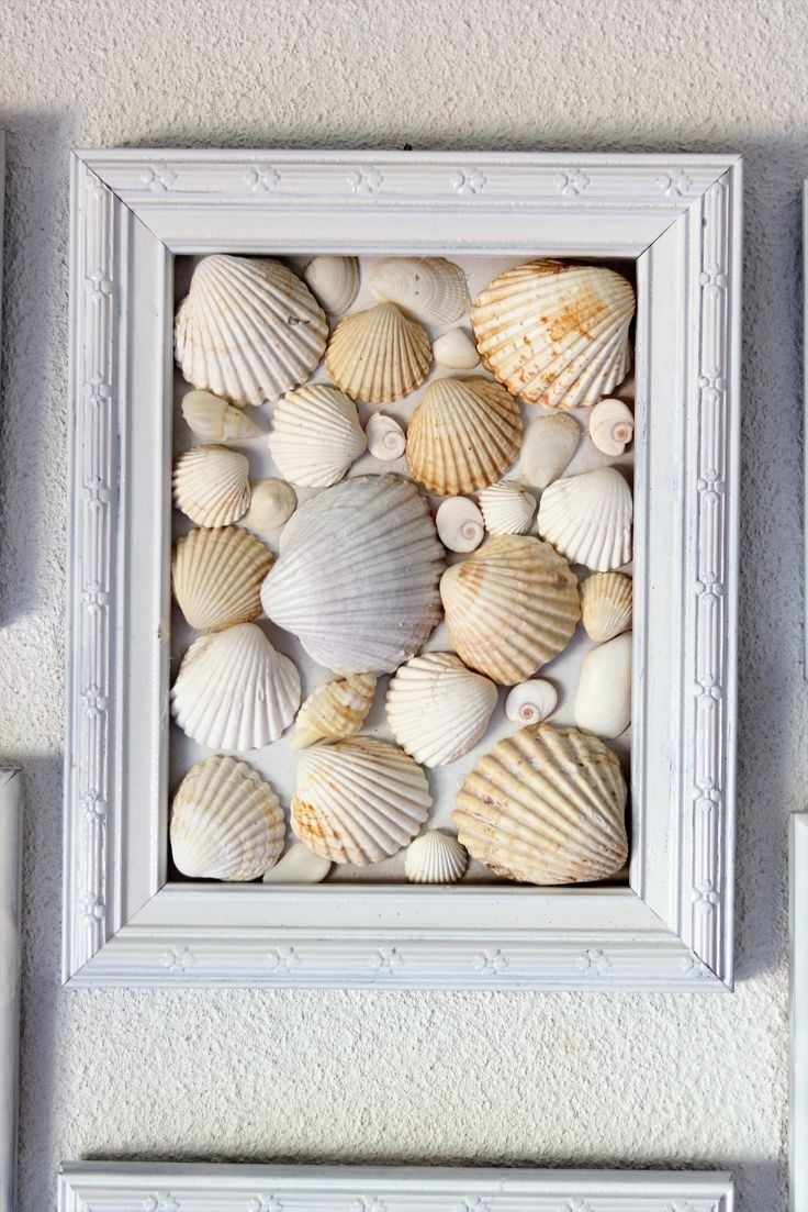 arte com conchas, artesanato com conchas