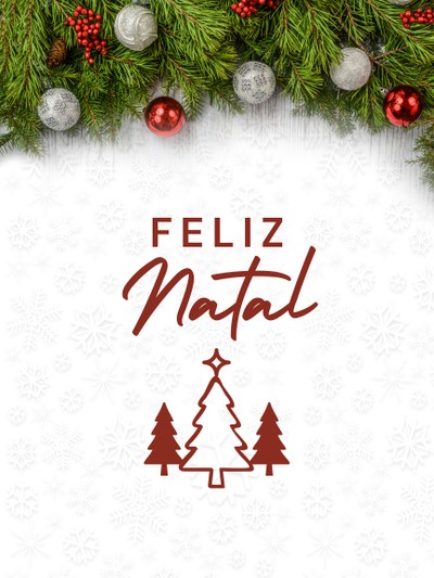 Cartão de Natal personalizado: veja 12 ...