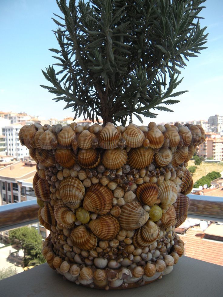 Vasos Decorados Com Conchas ...