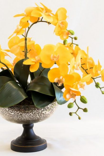 Campestre Decor | Flores permanentes e ...