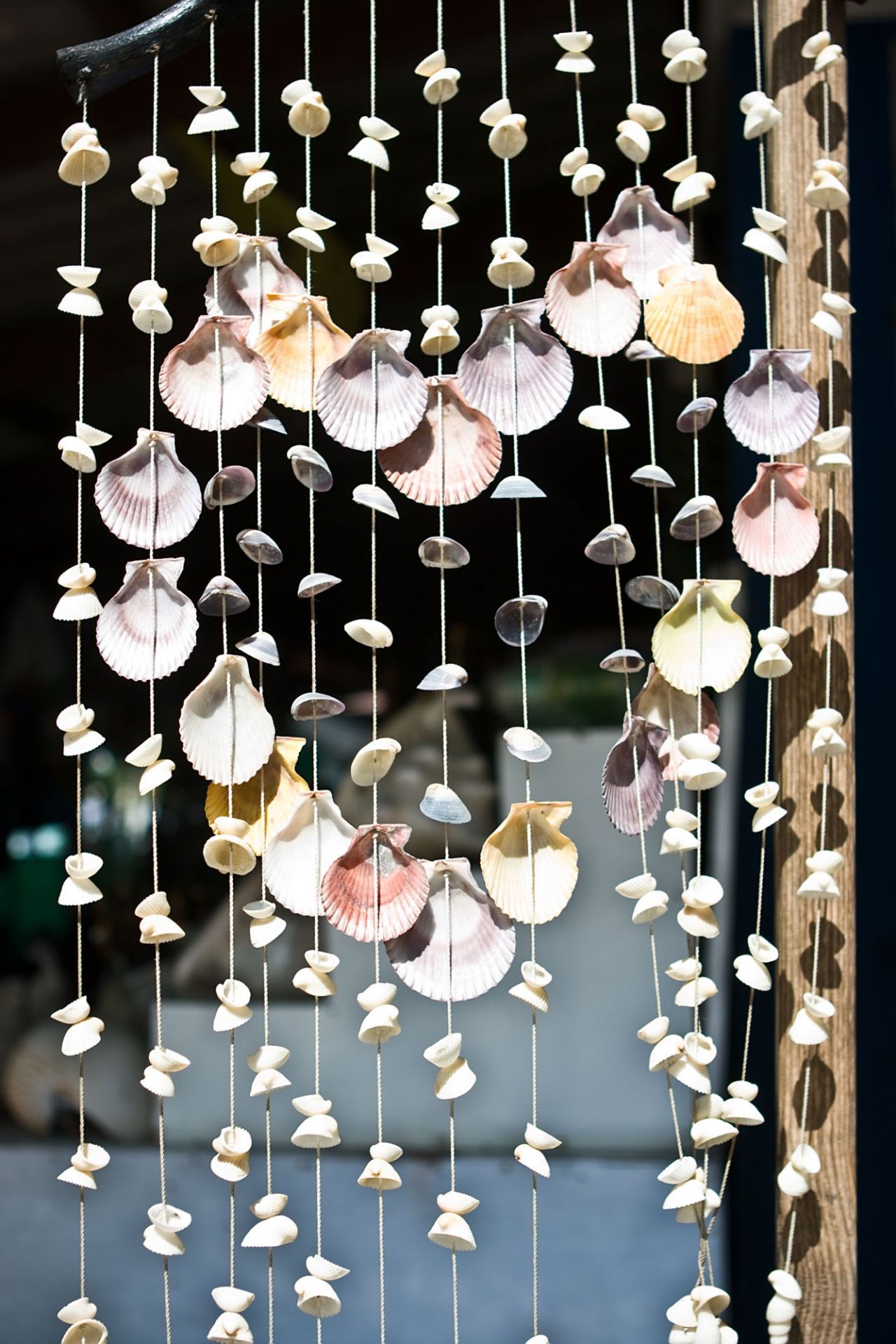 caracoles en este tablero de Pinterest ...