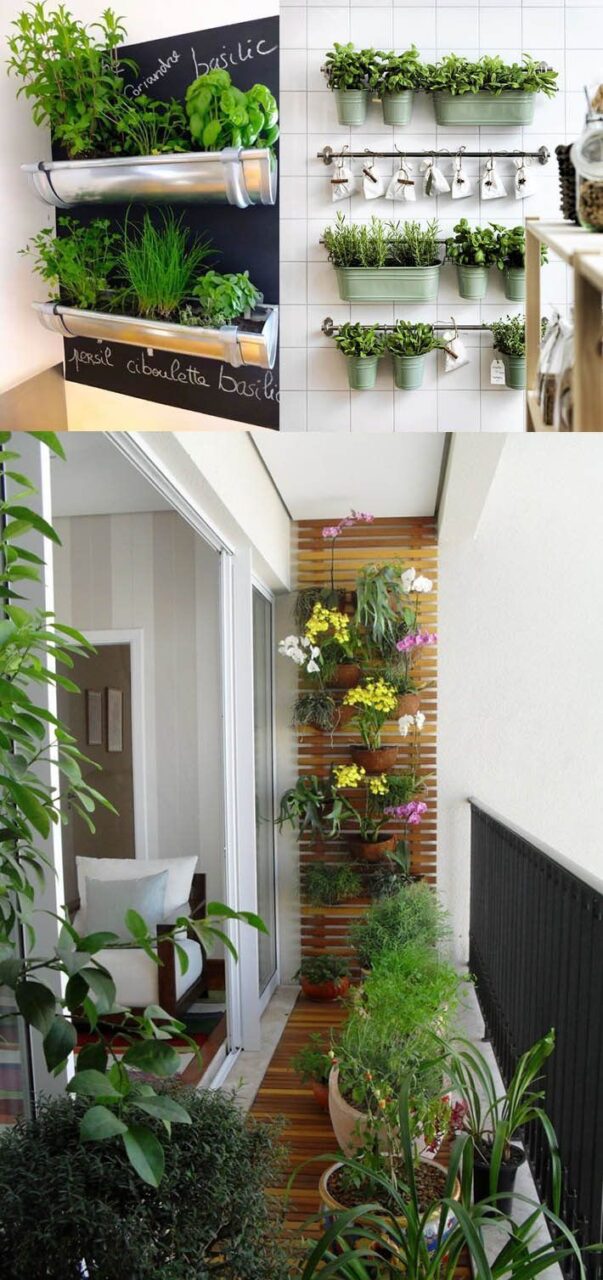 jardim vertical para apartamentos pequenos