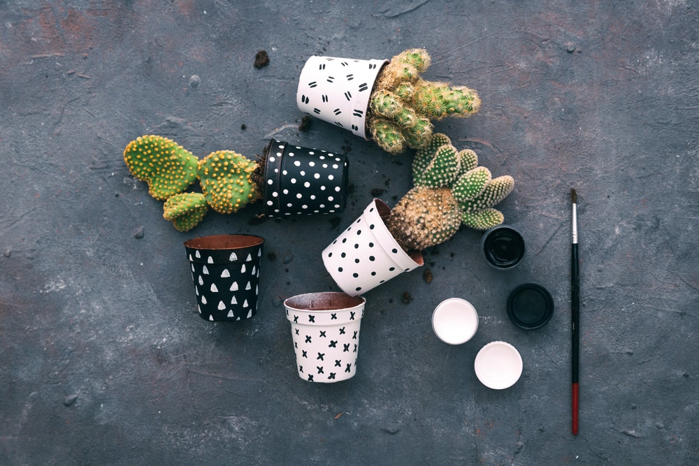 customizar e decorar vasos para plantas ...