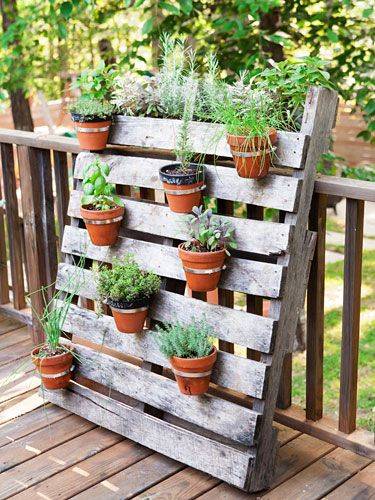jardim vertical usando pallets