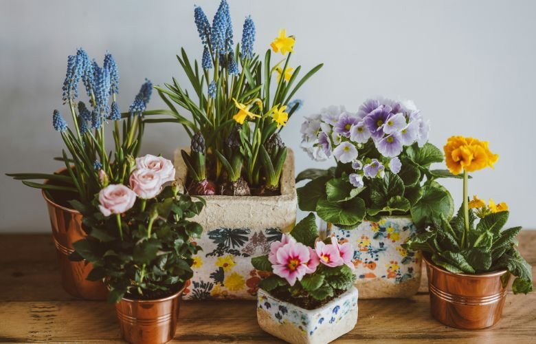 Vasos de flores: dicas e inspirações ...