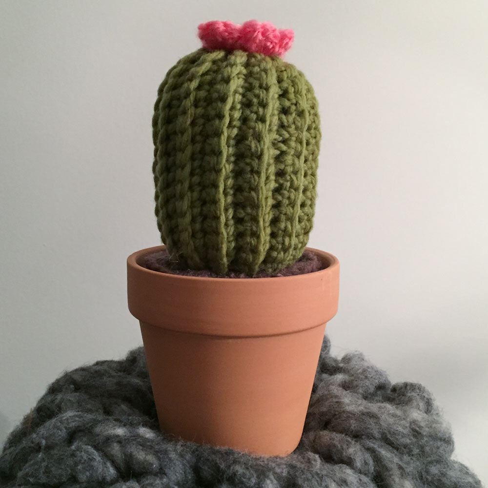 Crochet Cactus Amigurumi Pattern - Sir ...
