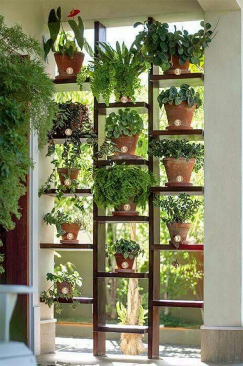 Jardim Vertical: Tudo que você precisa ...