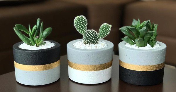 Vasos para Suculentas e Cactos Lindos ...