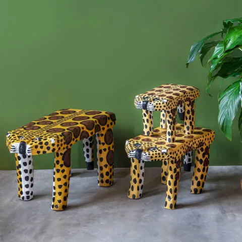 Imaterial Artesanato Brasileiro