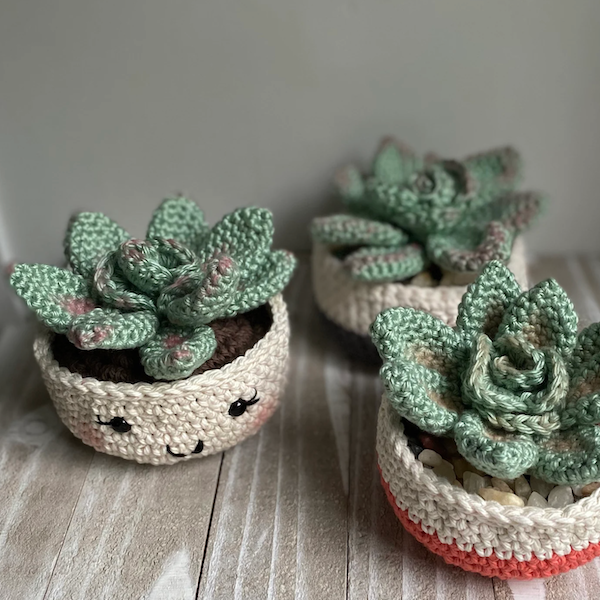 Crochet Cactus: The 25 Best Patterns ...
