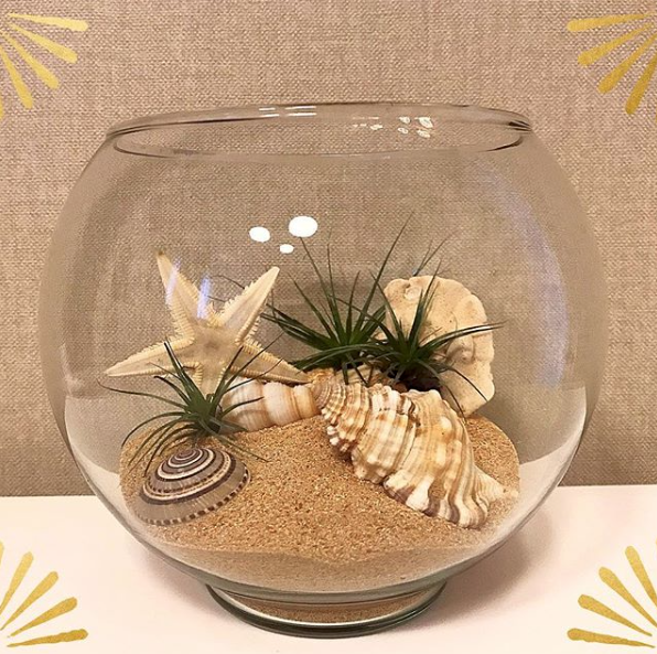 concha | decoração com conchas ...