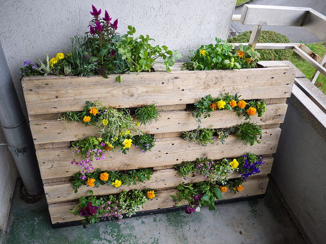 Saiba como fazer um jardim vertical com ...