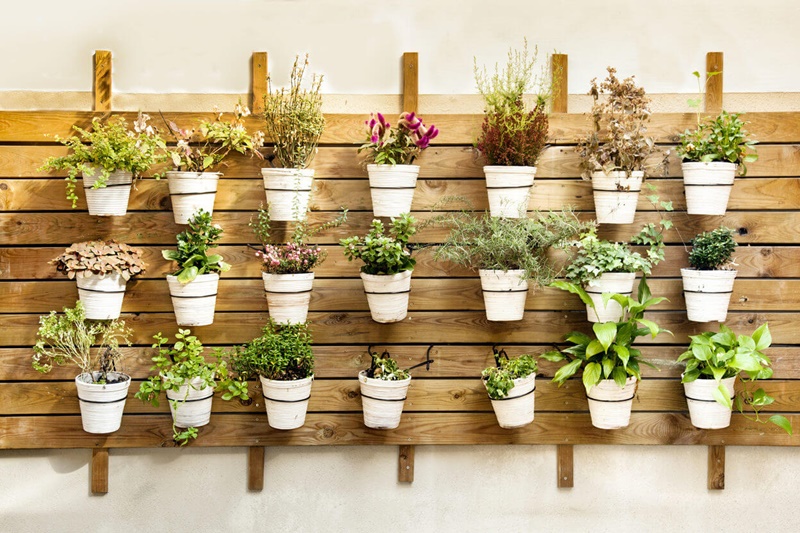 Jardim com pallet em ambientes pequenos ...
