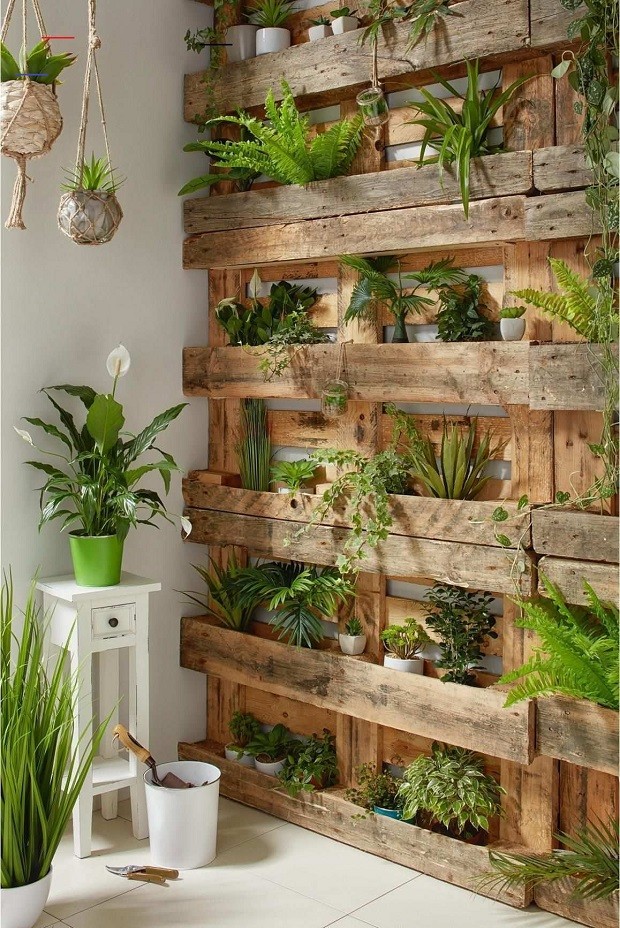 Pallets com plantas: quais espécies ...