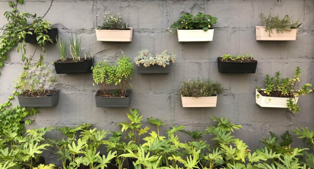 Vasos decorativos para jardim: 7 opções ...