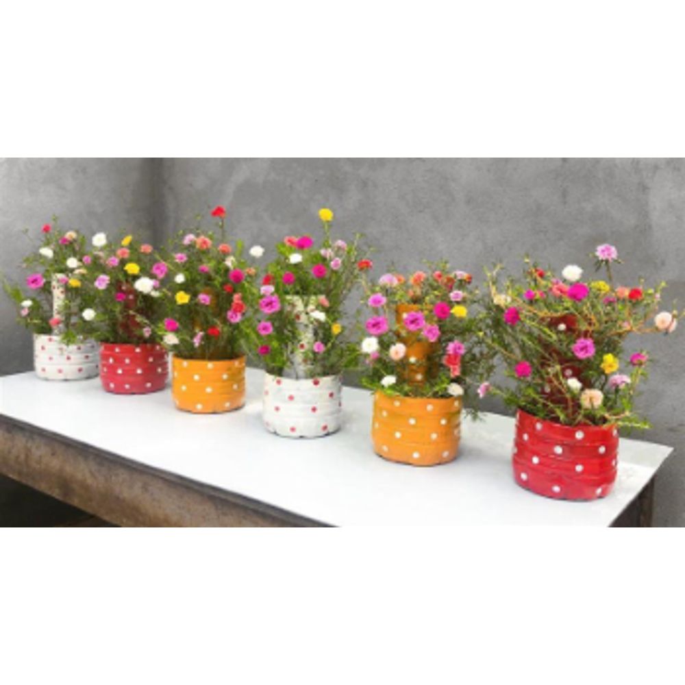 Cachepot de Garrafa Pet ...