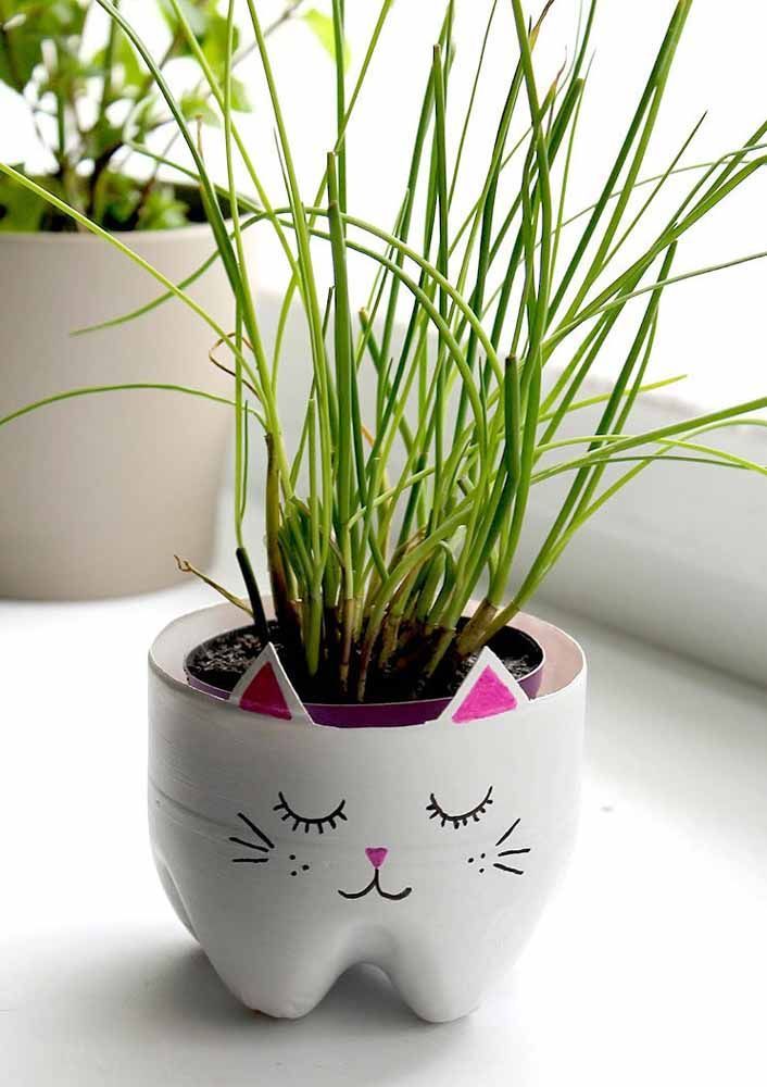 Cachepot: O que é, Para que Serve e 74 ...