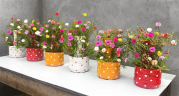 Cachepot de Garrafa Pet ...