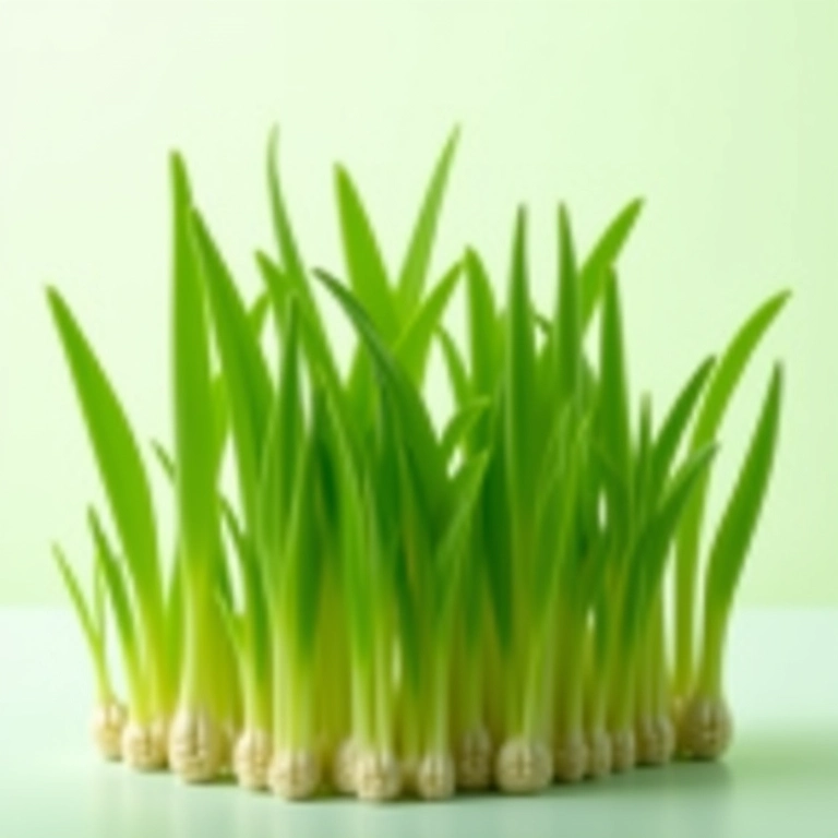 Brotos de wheatgrass representando a prevenção de doenças.
