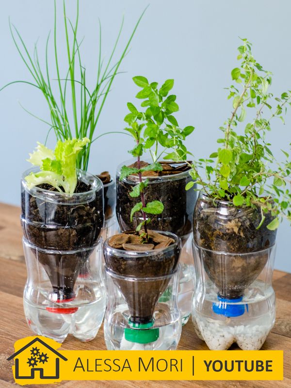 ANTIDENGUE COM GARRAFA PET