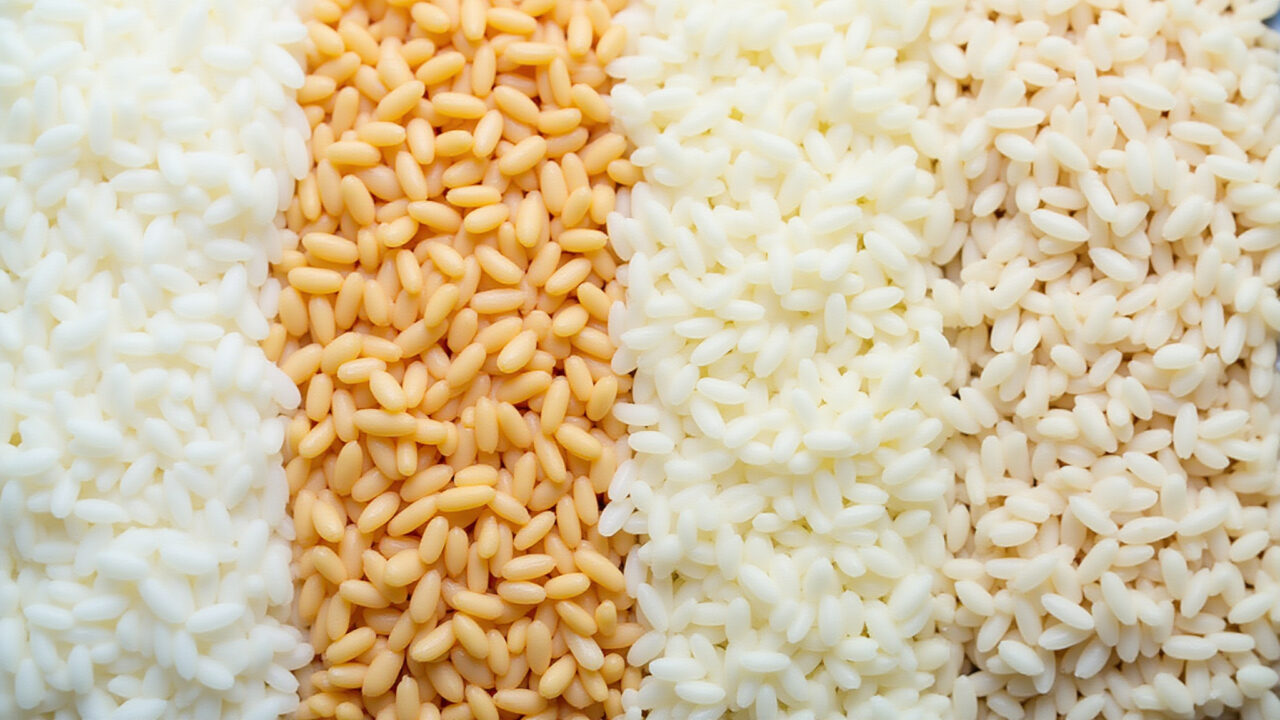 Different types of rice (white, integral, parboiled), side by side, comparison, food photography, Diferentes tipos de arroz: branco, integral e parboilizado.