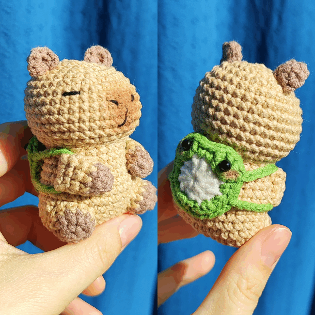 This is my Capybara - and I just can't ...
