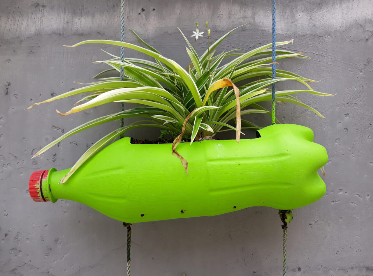 Vaso de garrafa pet: aprenda a fazer ...